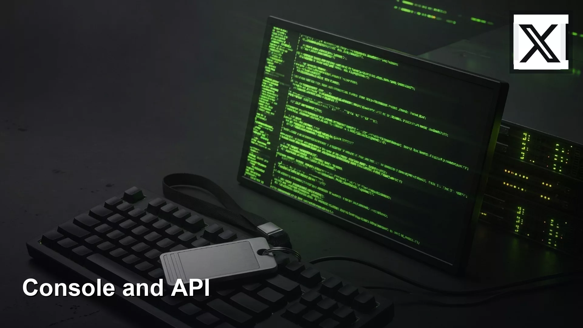 xAI Console and API: only if you build apps 1 xAI Console and API: only if you build apps
